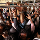 Breathless. An everyday scene from inside one of Mumbai’s suburban trains.